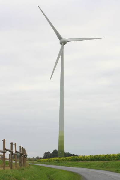 Windrad im Bester Feld